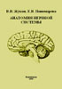 Жуков В.В., Пономарева Е.В. - Анатомия нервной системы. Учебное пособие - 1998 год