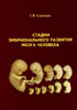 Савельев С.В. - Стадии эмбрионального развития мозга человека - 2002 год